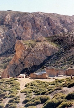 Pema Rigtsal Rinpoche